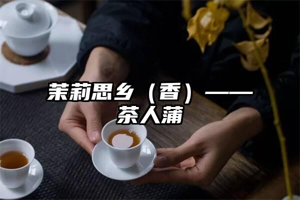 茉莉思乡（香）——茶人蒲