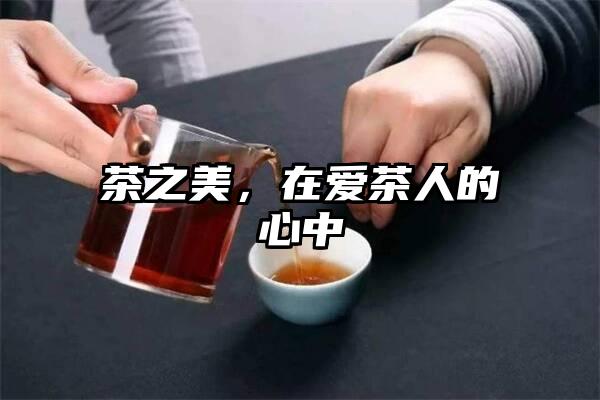 茶之美，在爱茶人的心中