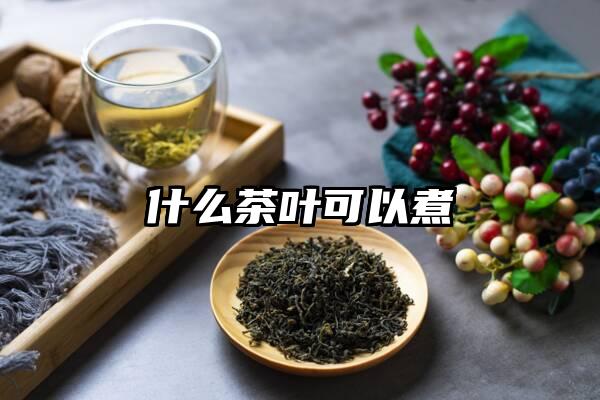 什么茶叶可以煮