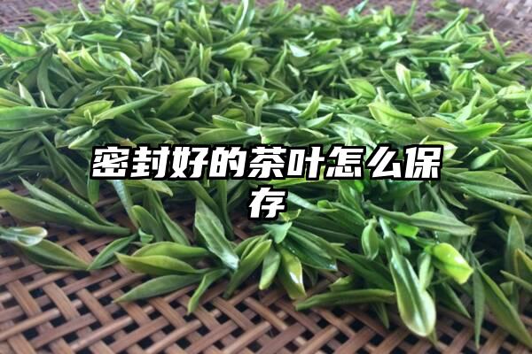 密封好的茶叶怎么保存