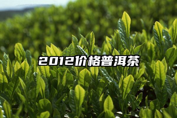 2012价格普洱茶