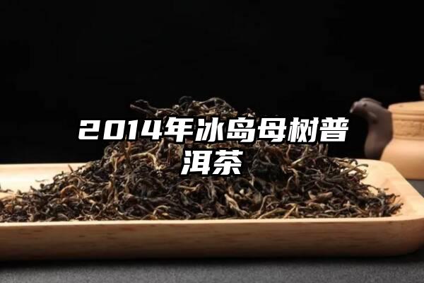 2014年冰岛母树普洱茶