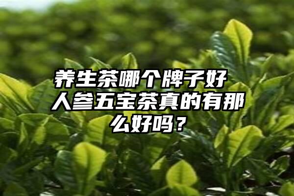 养生茶哪个牌子好 人参五宝茶真的有那么好吗？