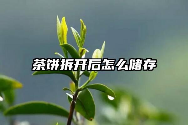 茶饼拆开后怎么储存