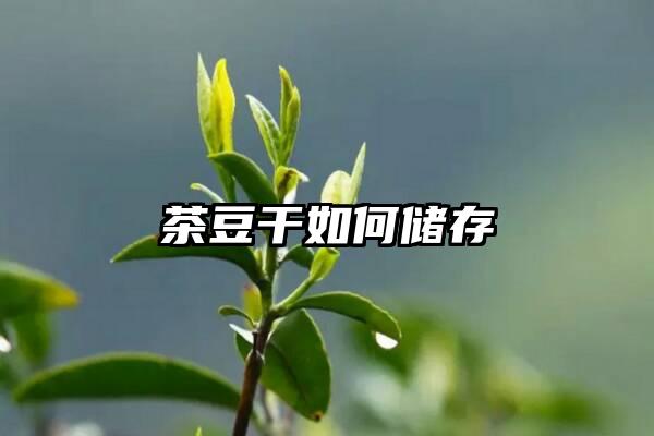 茶豆干如何储存