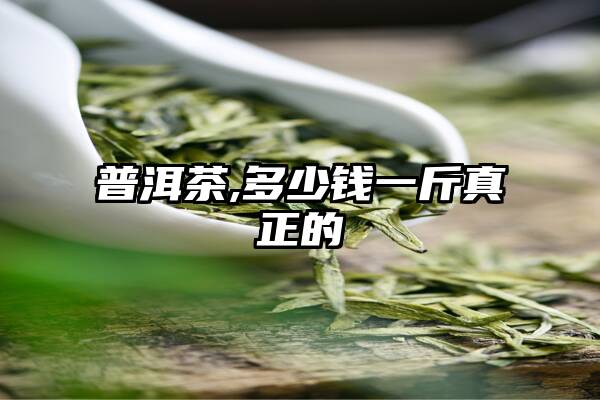 普洱茶,多少钱一斤真正的