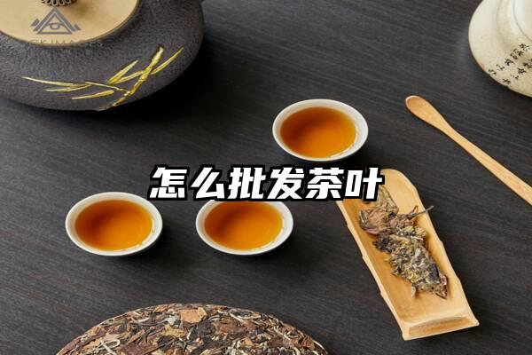 怎么批发茶叶