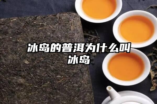 冰岛的普洱为什么叫冰岛