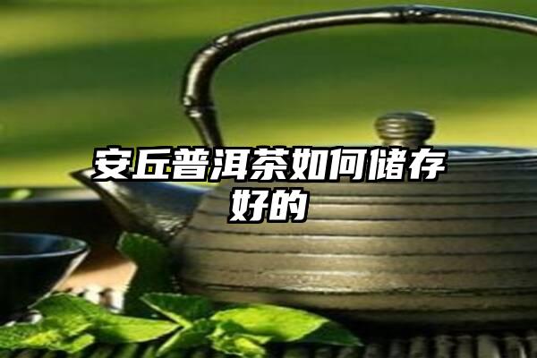 安丘普洱茶如何储存好的