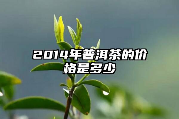 2014年普洱茶的价格是多少