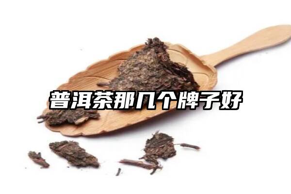 普洱茶那几个牌子好