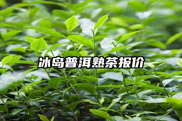 冰岛普洱熟茶报价