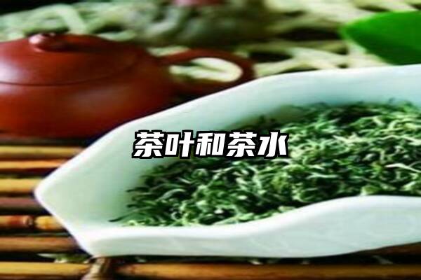 茶叶和茶水