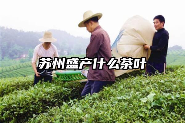 苏州盛产什么茶叶