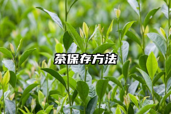 茶保存方法