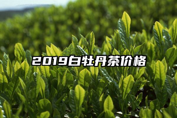 2019白牡丹茶价格