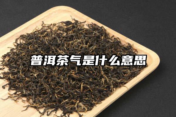 普洱茶气是什么意思