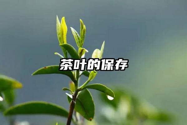 茶叶的保存