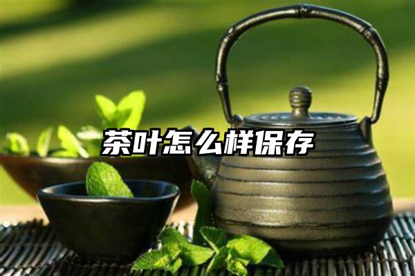 茶叶怎么样保存