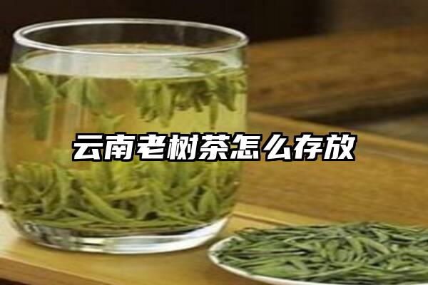 云南老树茶怎么存放