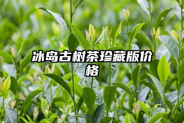 冰岛古树茶珍藏版价格