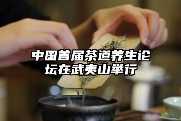 中国首届茶道养生论坛在武夷山举行