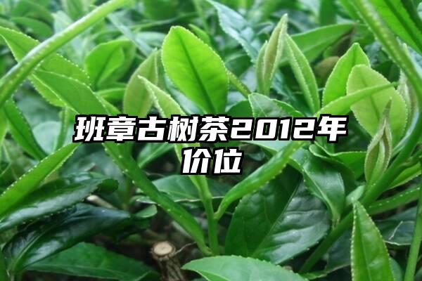 班章古树茶2012年价位