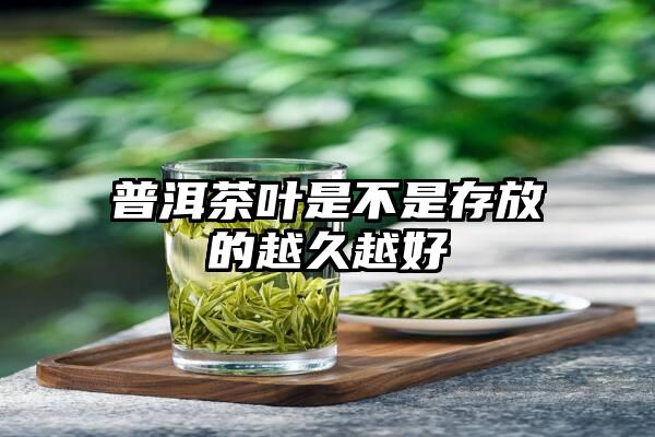 普洱茶叶是不是存放的越久越好