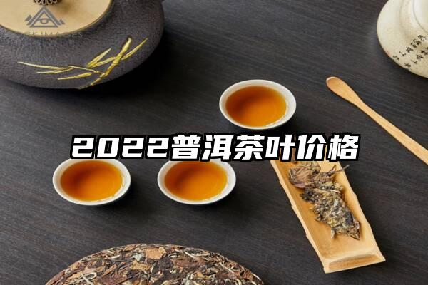 2022普洱茶叶价格