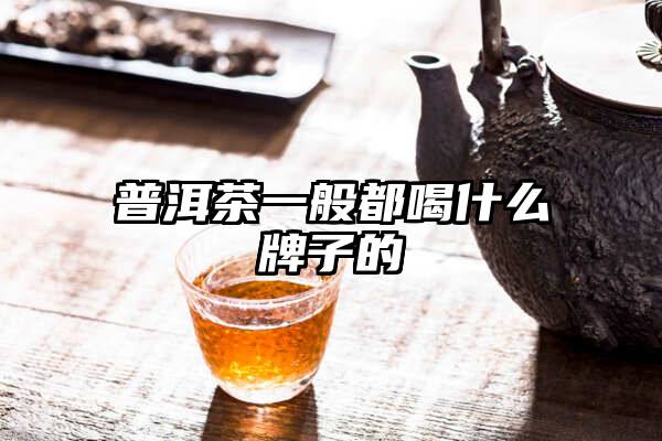 普洱茶一般都喝什么牌子的