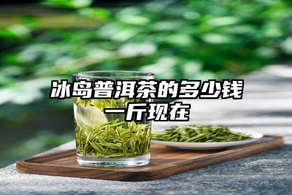 冰岛普洱茶的多少钱一斤现在