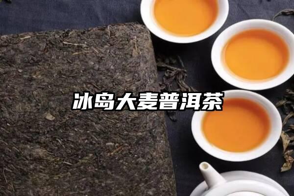 冰岛大麦普洱茶