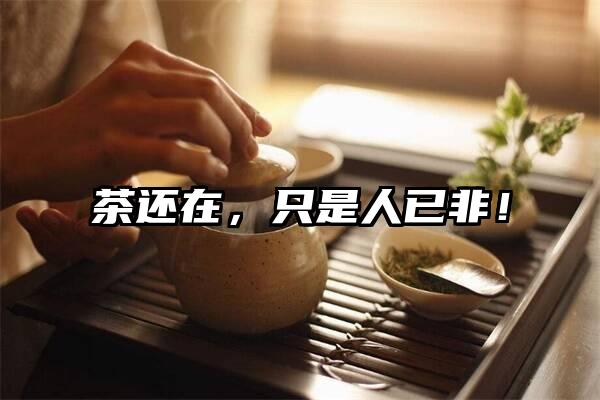 茶还在，只是人已非！