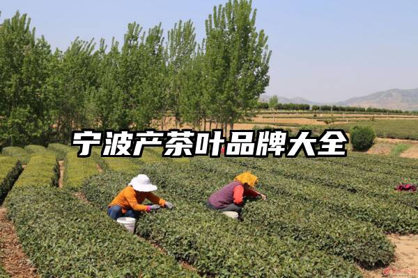 宁波产茶叶品牌大全