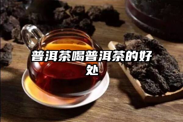 普洱茶喝普洱茶的好处