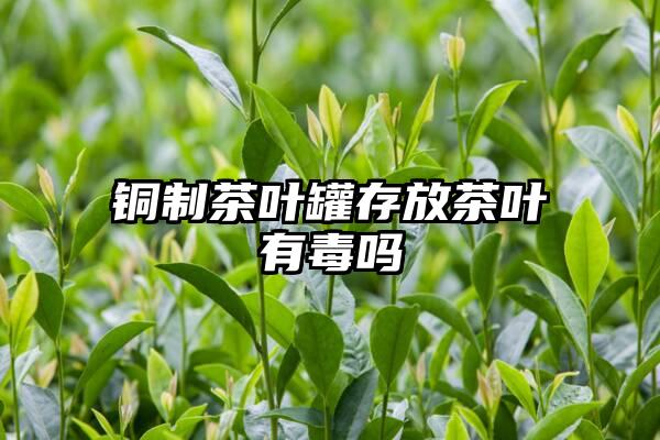 铜制茶叶罐存放茶叶有毒吗