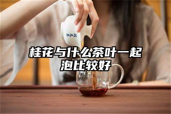 桂花与什么茶叶一起泡比较好