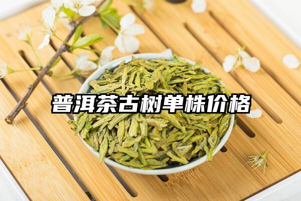 普洱茶古树单株价格