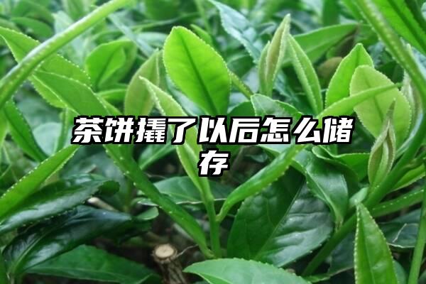 茶饼撬了以后怎么储存