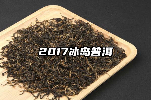 2017冰岛普洱