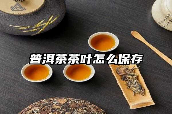 普洱茶茶叶怎么保存