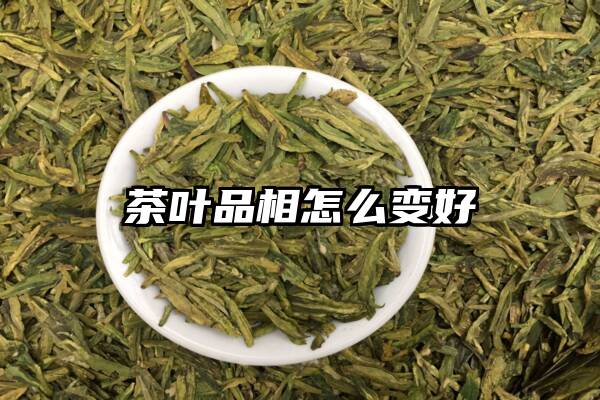 茶叶品相怎么变好