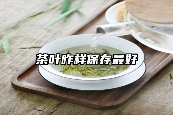 茶叶咋样保存最好