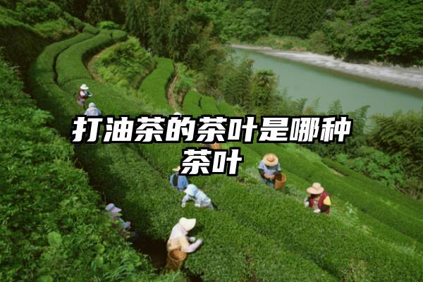 打油茶的茶叶是哪种茶叶