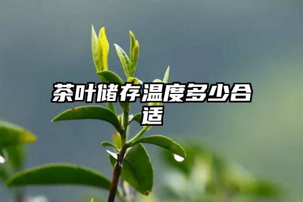 茶叶储存温度多少合适