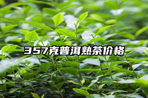 357克普洱熟茶价格