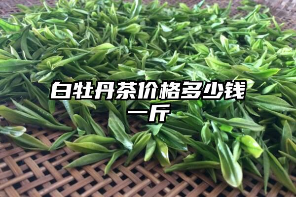 白牡丹茶价格多少钱一斤