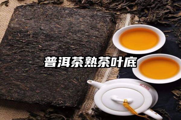 普洱茶熟茶叶底