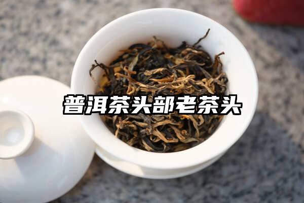 普洱茶头部老茶头