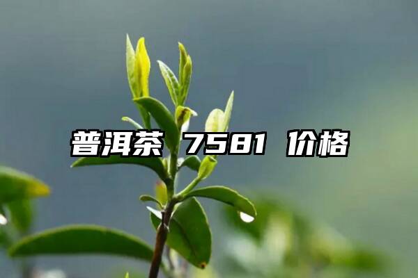 普洱茶 7581 价格